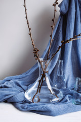 Plants in various glasses on blue fabric. Still life about spring. Flowering buds. The beginning of...