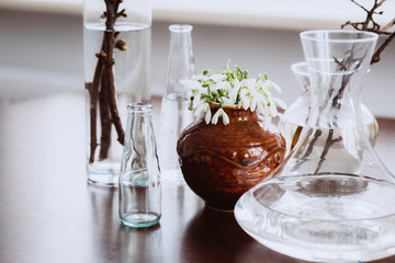 Snowdrops in a clay vase between glass containers on the table. Concept for spring. The first flowers. Still life