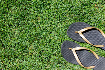 Pair of black beach casual slippers on green grass or meadow background, summer flip flop concept,...