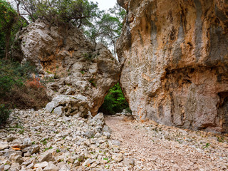 Detail of the path to Cala Goloritzé which leads to the famous beach. Along the way there is a series of majestic and ancient holm oaks.