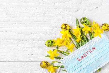 Easter time in coronavirus covid 19 quarantine concept. Face medical mask on narcissus flowers with...