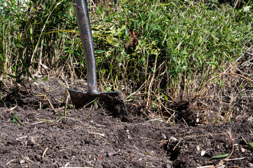 Spaten und Gartenharke stehen im Pflanzbeet