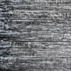 Background from wooden boards. Wood background