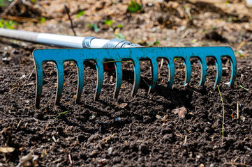 Gartenharke liegt auf geharktem Boden
