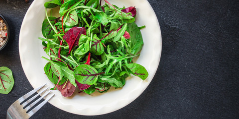 Healthy salad, leaves mix salad (mix micro greens, juicy snack) keto or paleo menu recipe. food...