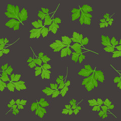 Fototapeta na wymiar Fresh green parsley leaves on dark background. Parsley isolated. Vector illustration. Seamless pattern.