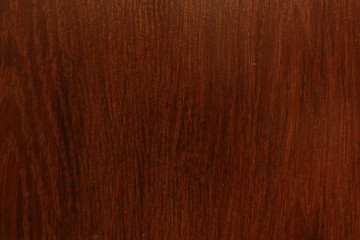 Naklejka premium wood texture background. Dark tree