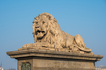 Obraz premium Lion on Chain Bridge on the Danube River in Budapest, Hungary