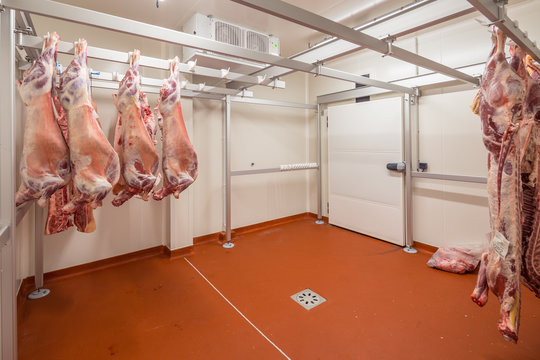 int&eacute;rieur chambre froide stockage viande