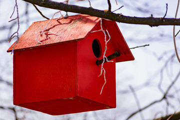 A wooden birdhouse, built with your own hands and painted with colored paint, hangs attached to a tree without leaves. Spring training for settling and breeding birds in a house with a round window