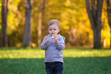  Boy face, autumn, gray jumper, cookie