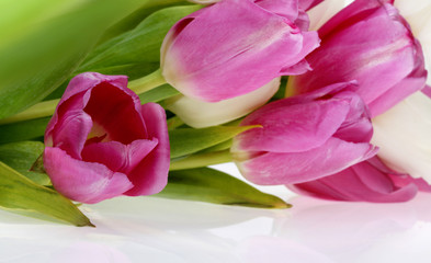 Obraz premium bouquet of tulips