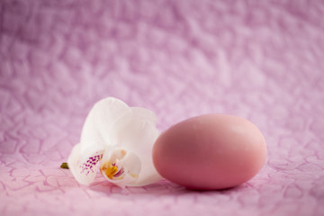 Pink egg on a pink background with a white flower