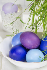 Easter eggs with spring branches on a white background