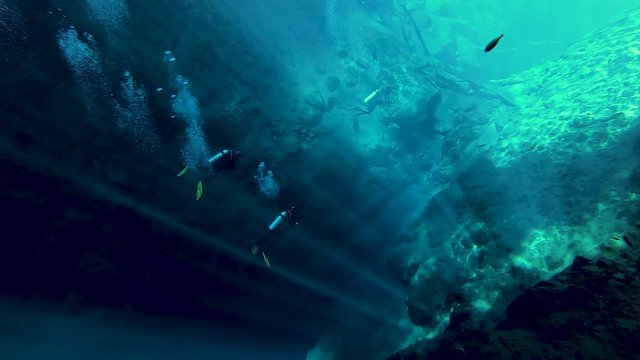 Divers in crystalline waters in Bonito in the state of Mato Grosso do Sul