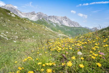 Beautiful alpine landscape