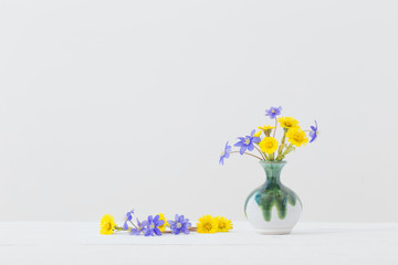 spring flowers in vase on white background