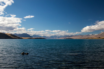 Quiet and relaxing scenry of a lake on a clear summer day