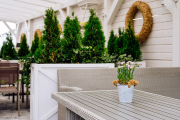 Naklejka premium Selective focus on flowers in a can pot on garden table, vintage style patio