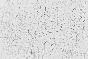 Grey rustic texture background with craquelure. Monochrome.