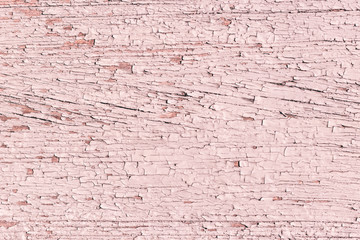 Rustic wood texture or background with pink pastel paint.