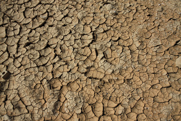 popękana wierzchnia warstwa gleby w czasie suszy
