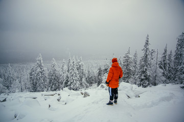 Winter forest of Southern Ural