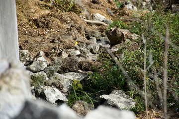 Rocks