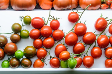Mixed fresh organic red and green tomatoes in display for sale at a street food market, side view or flat lay photo of healthy food