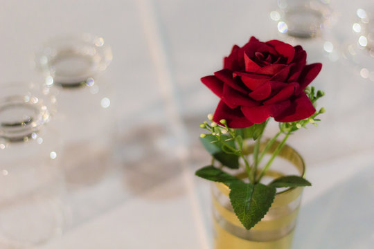 Rosa vermelha na decora&ccedil;&atilde;o