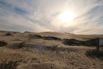 Dunas de arena