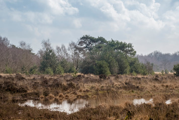 Naturschutzgebiet Zwillbrocker Venn