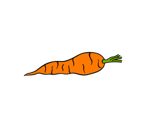 Cartoon drawing of a carrot, simple vector illustration