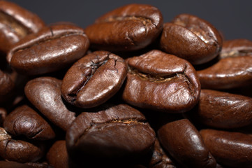 coffee beans close up