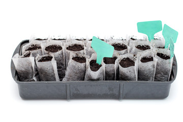 White woven fabric bags with soil in a black plastic container against white background. Isolated home sprouting seedlings process in the ground. Name plates in the dirt.