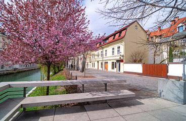 Empty streets in Ljubljana's old city center on spring Sunday morning, usually packed with people, due to coronavirus quarantine, Ljubljana, Slovenia