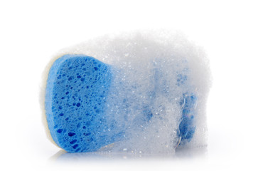 Shower sponge with soap foam