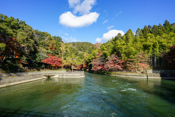 紅葉シーズンを迎えた宇治川