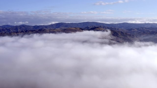 Mountains covered in morning mist, Los Angeles neighborhood, aerial