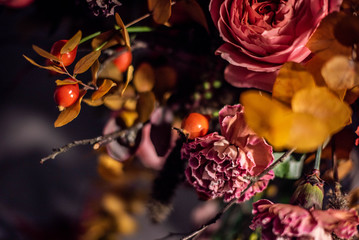 red roses in the garden