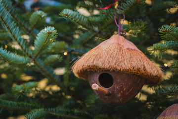 Genious idea - a bird house made of coconut is hanging on a christmas tree during the christkindl...