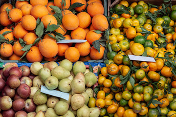 top view of fresh fruits at 