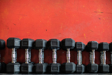 Set of dumbbells lying on rack in gym