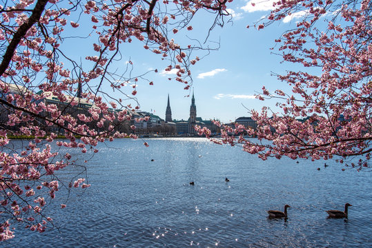 Hamburg in spring. With a panorama over the city