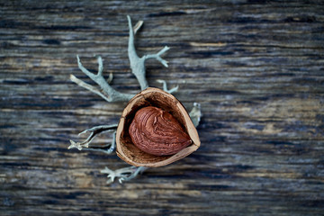 From above appetizing tasty hazelnut in open walnut shell on wooden table