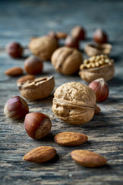Brown ripe hazelnut and walnut at table