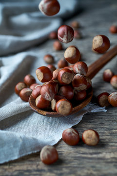 Brown ripe hazelnut on spoon at table