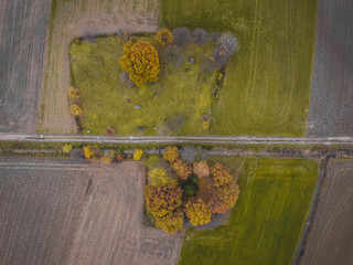 Aerial view of a gravel road between the fields and a small park.