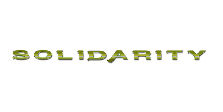 Text, Solidarit&auml;t
