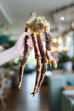 Crop person demonstrating boiled legs of delectable king crab legs in luxury restaurant